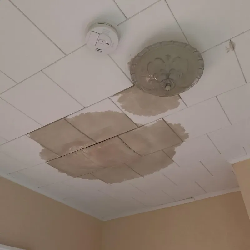 Ceiling Water Damage Repair in Grosse Pointe, MI